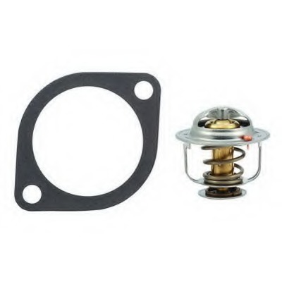 Termostat lichid racire