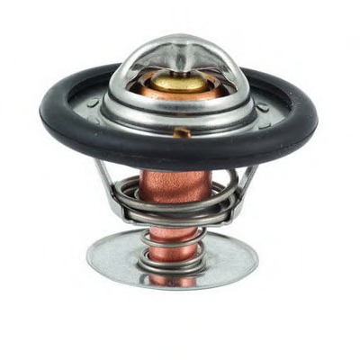 Termostat lichid racire