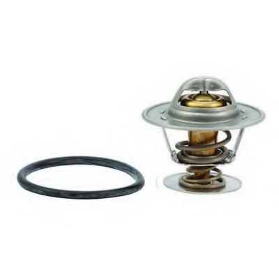 Termostat lichid racire