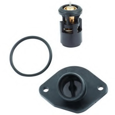 Termostat lichid racire