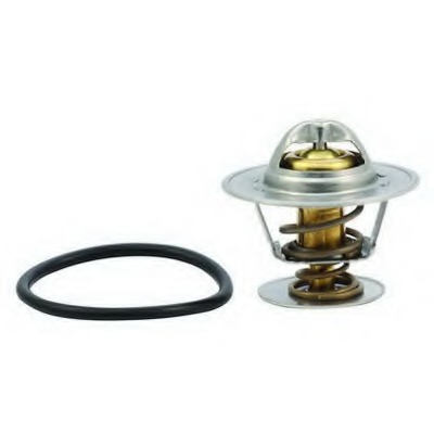 Termostat lichid racire