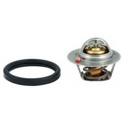 Termostat lichid racire