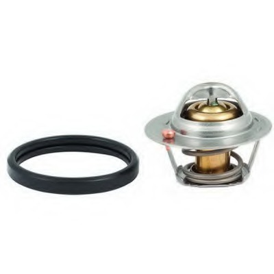 Termostat lichid racire