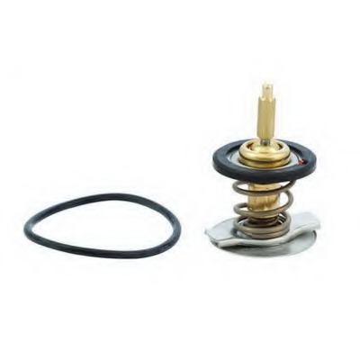 Termostat lichid racire