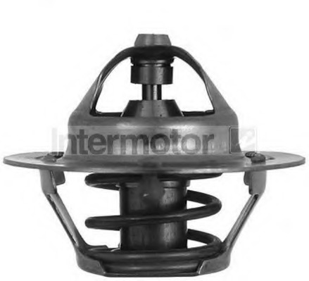 Termostat lichid racire