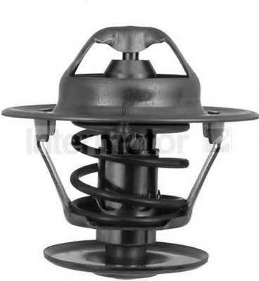 Termostat lichid racire