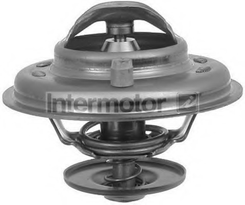Termostat lichid racire