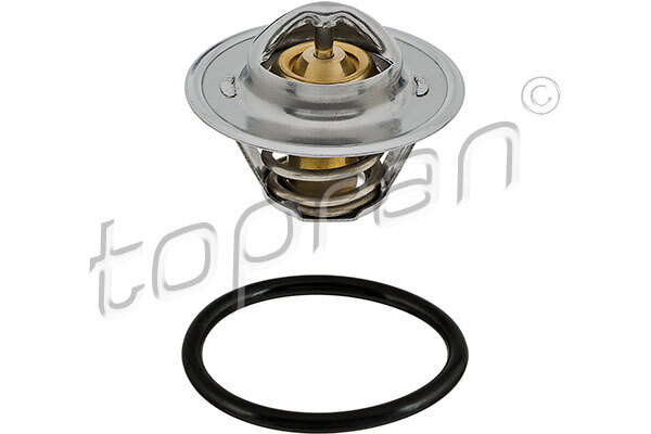 Termostat lichid racire