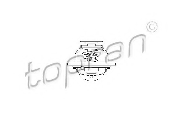 Termostat lichid racire