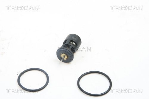 Termostat lichid racire