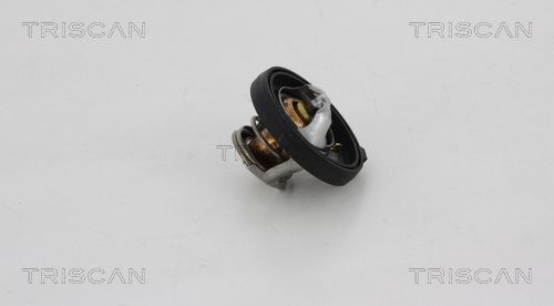 Termostat lichid racire