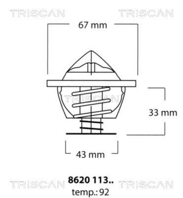Termostat lichid racire