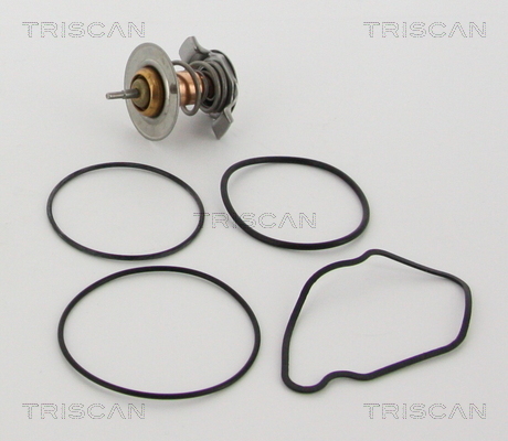 Termostat lichid racire