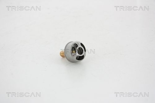 Termostat lichid racire