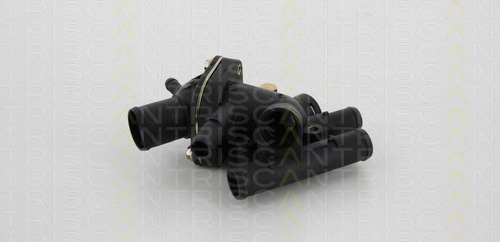 Termostat lichid racire