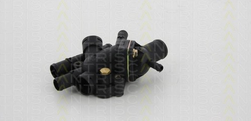 Termostat lichid racire