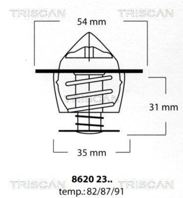Termostat lichid racire