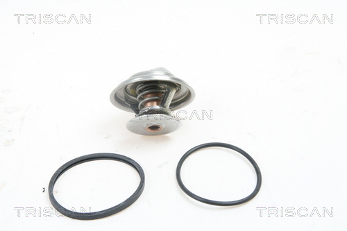 Termostat lichid racire