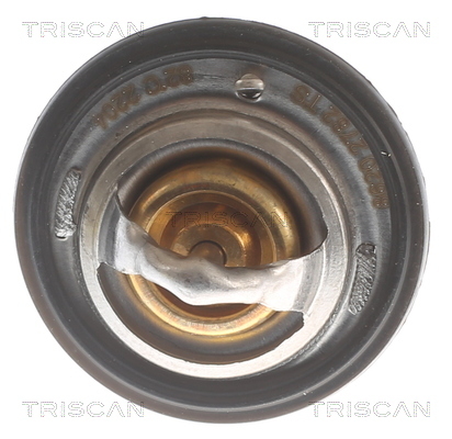 Termostat lichid racire