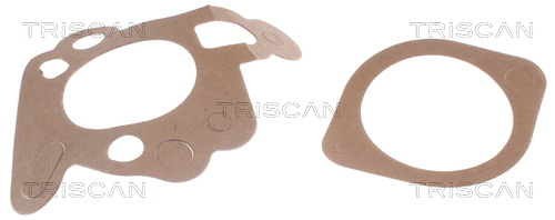Termostat lichid racire