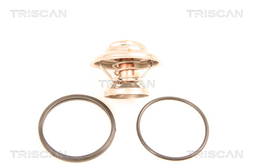 Termostat lichid racire