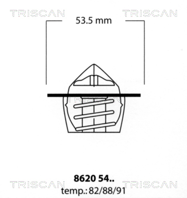 Termostat lichid racire