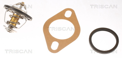 Termostat lichid racire