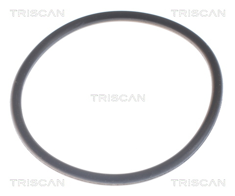 Termostat lichid racire