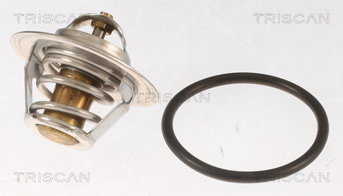 Termostat lichid racire