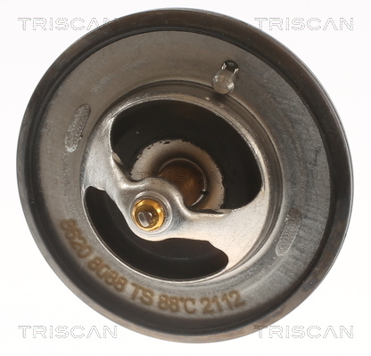 Termostat lichid racire