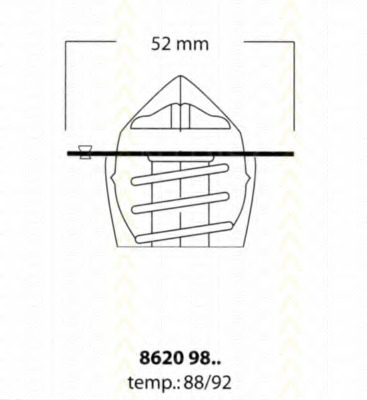 Termostat lichid racire