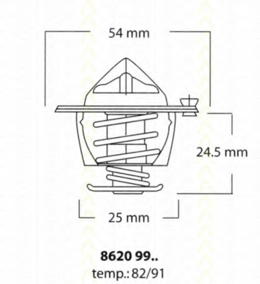 Termostat lichid racire