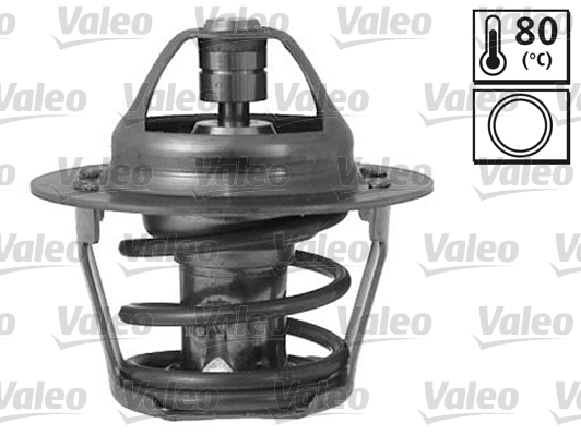 Termostat lichid racire