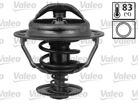 Termostat lichid racire