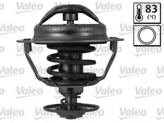 Termostat lichid racire