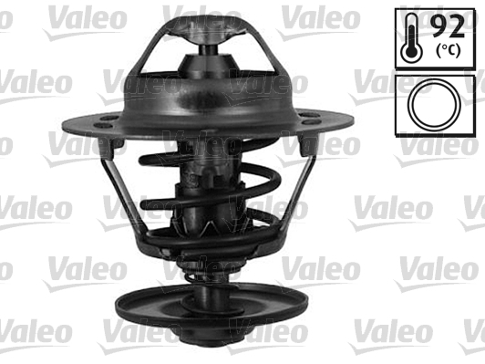 Termostat lichid racire
