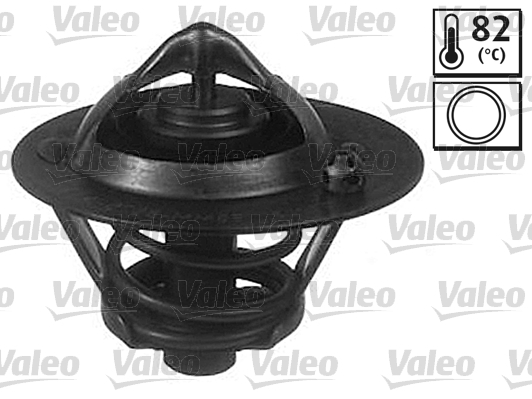 Termostat lichid racire