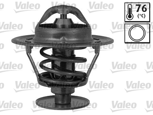 Termostat lichid racire