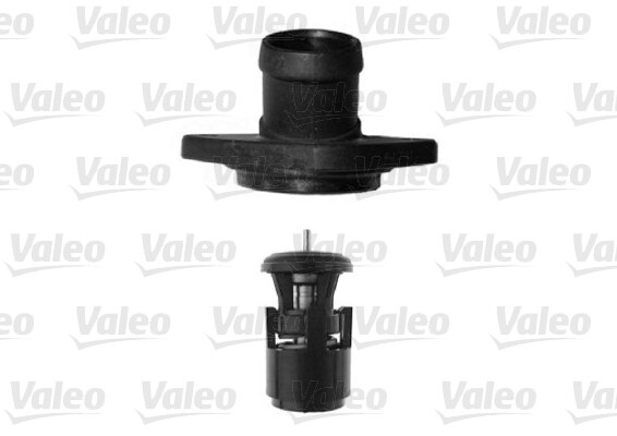 Termostat lichid racire
