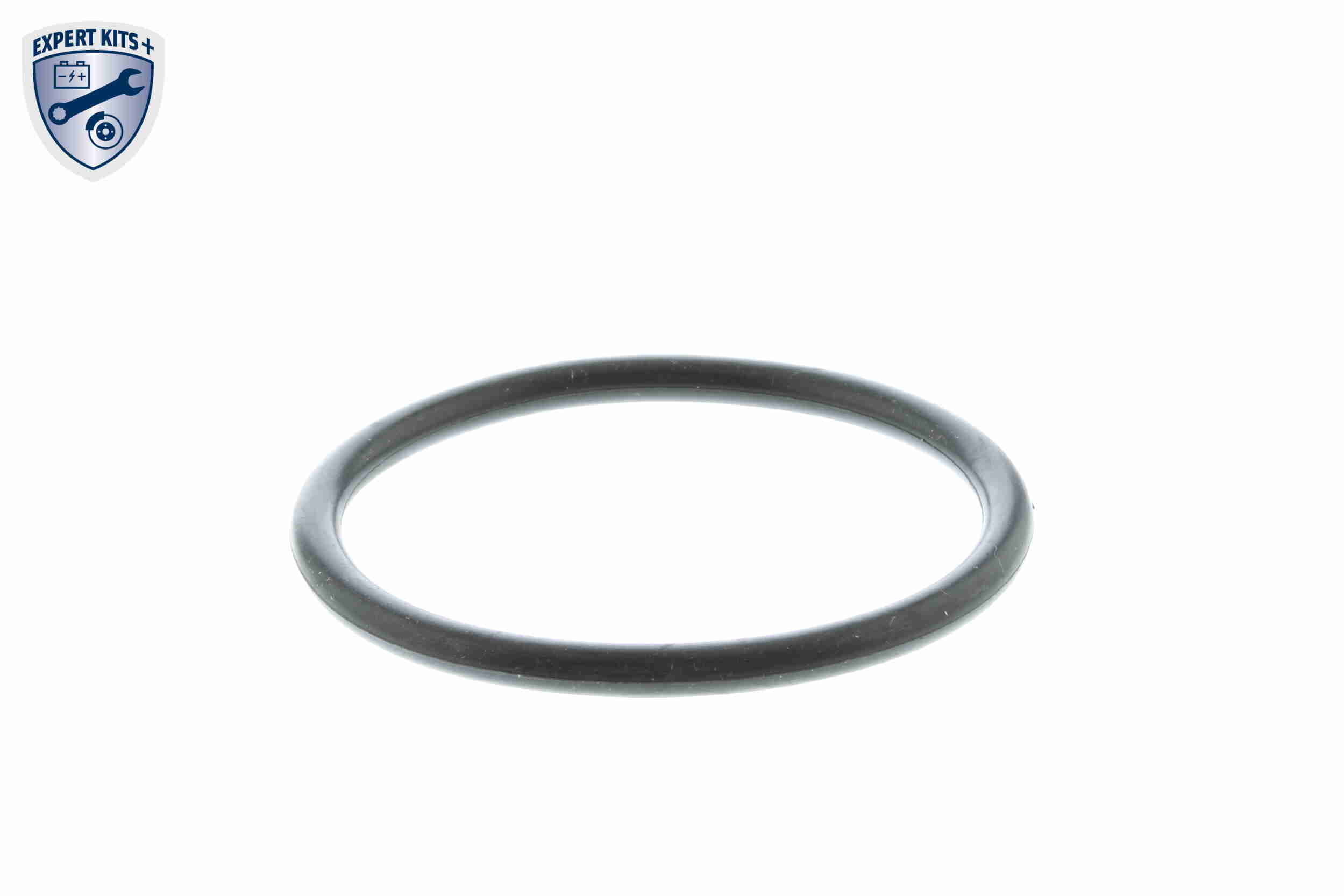 Termostat lichid racire
