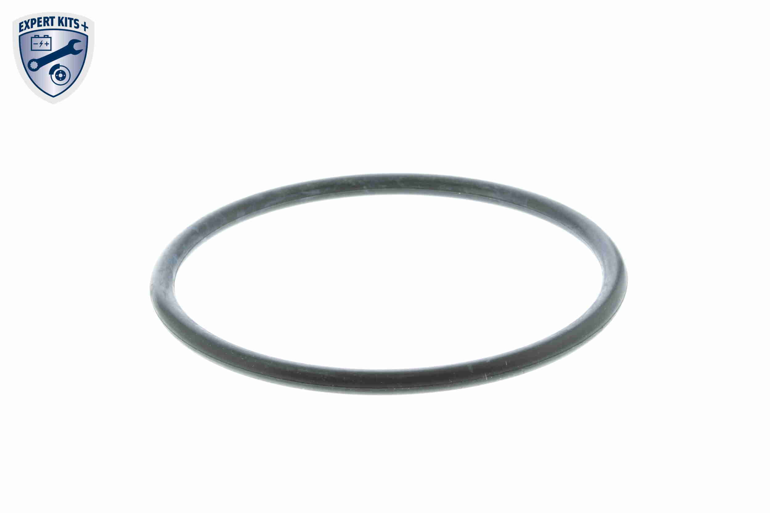 Termostat lichid racire