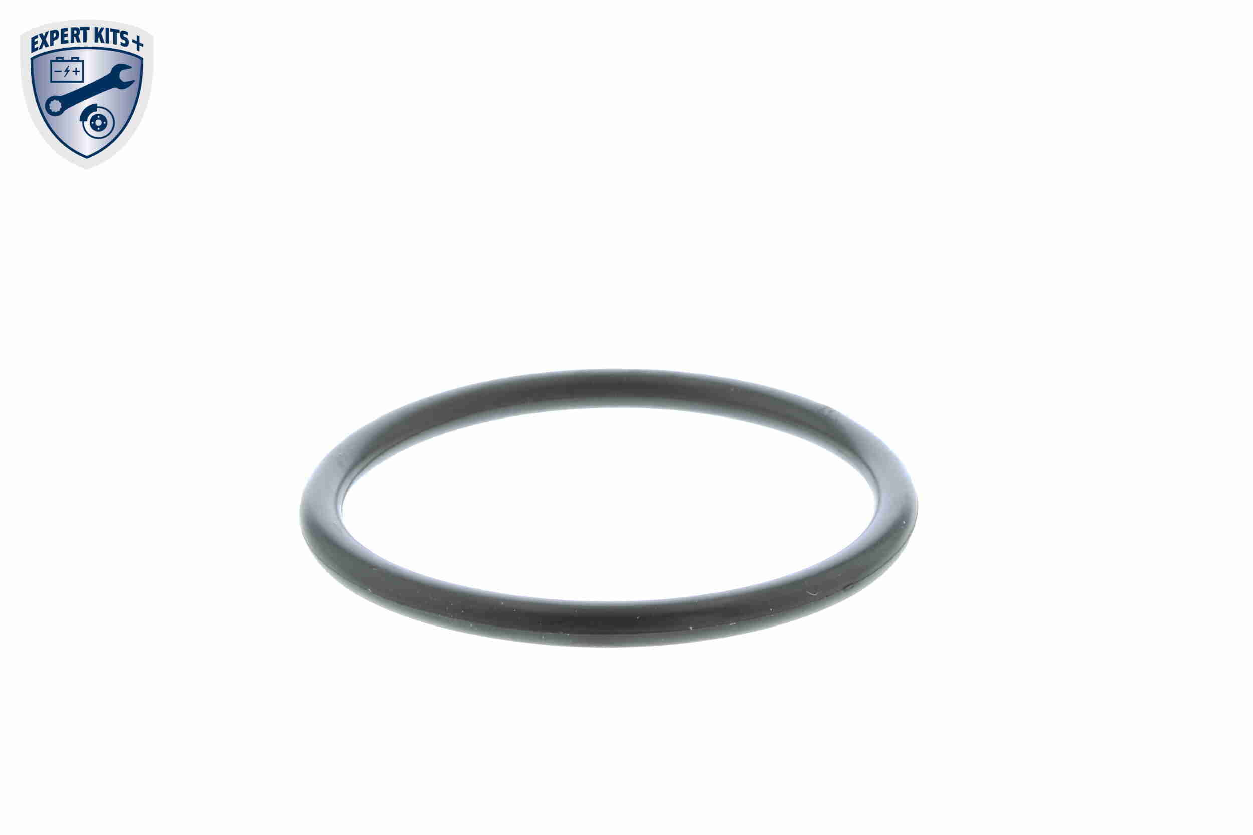 Termostat lichid racire