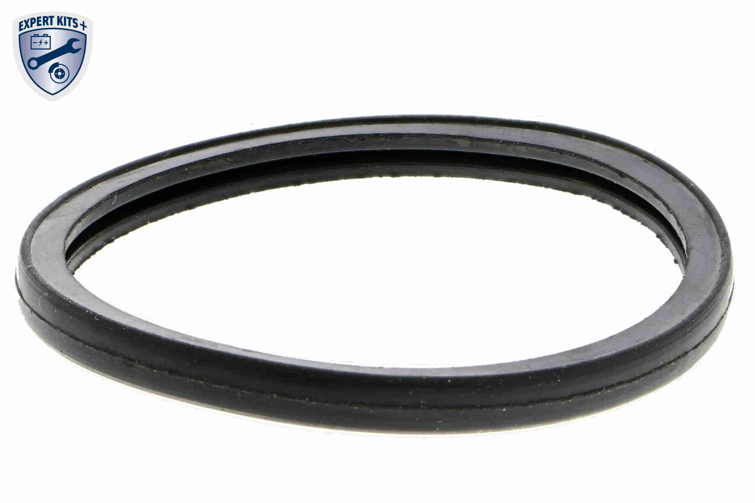 Termostat lichid racire