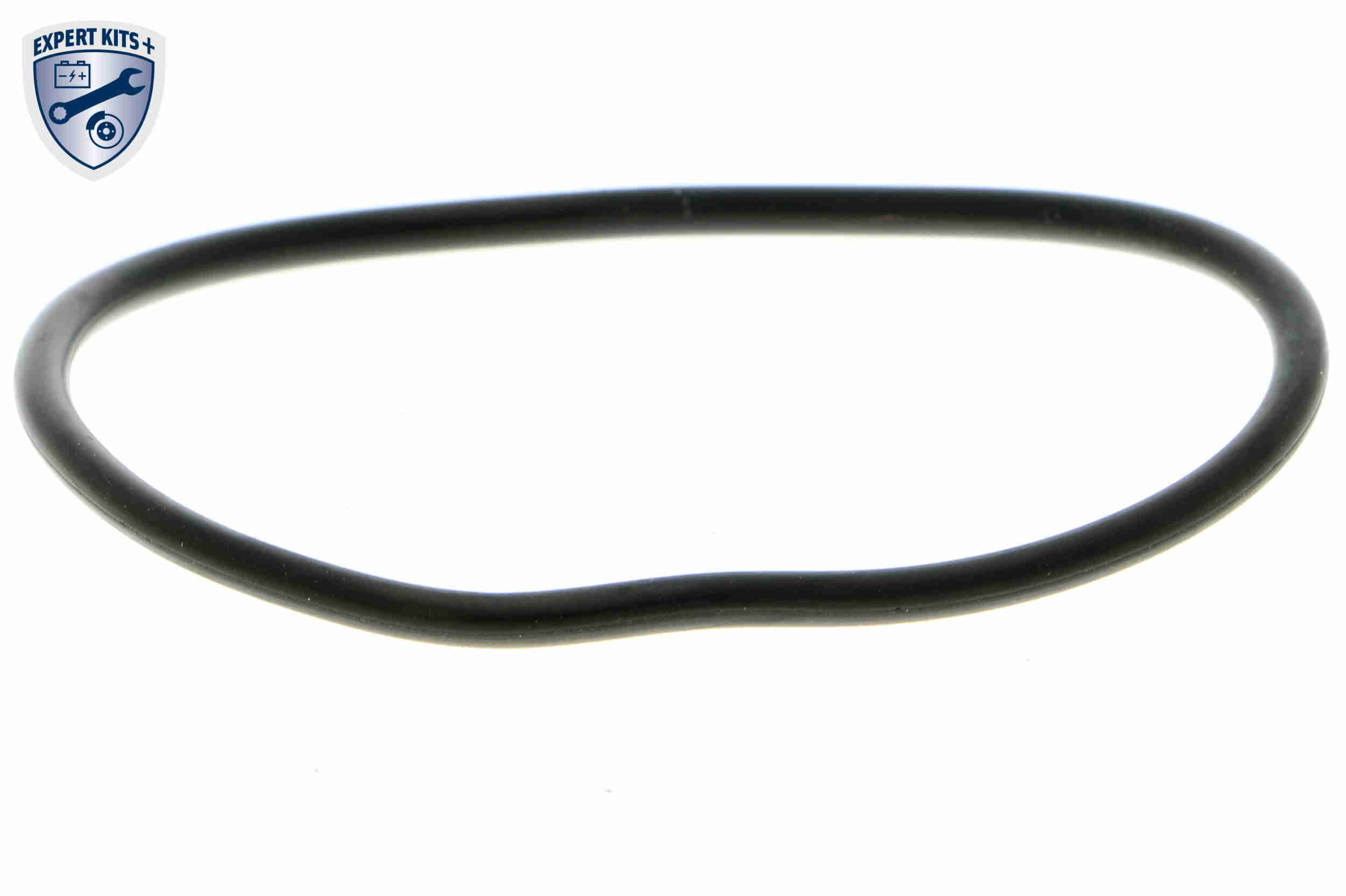 Carcasa termostat