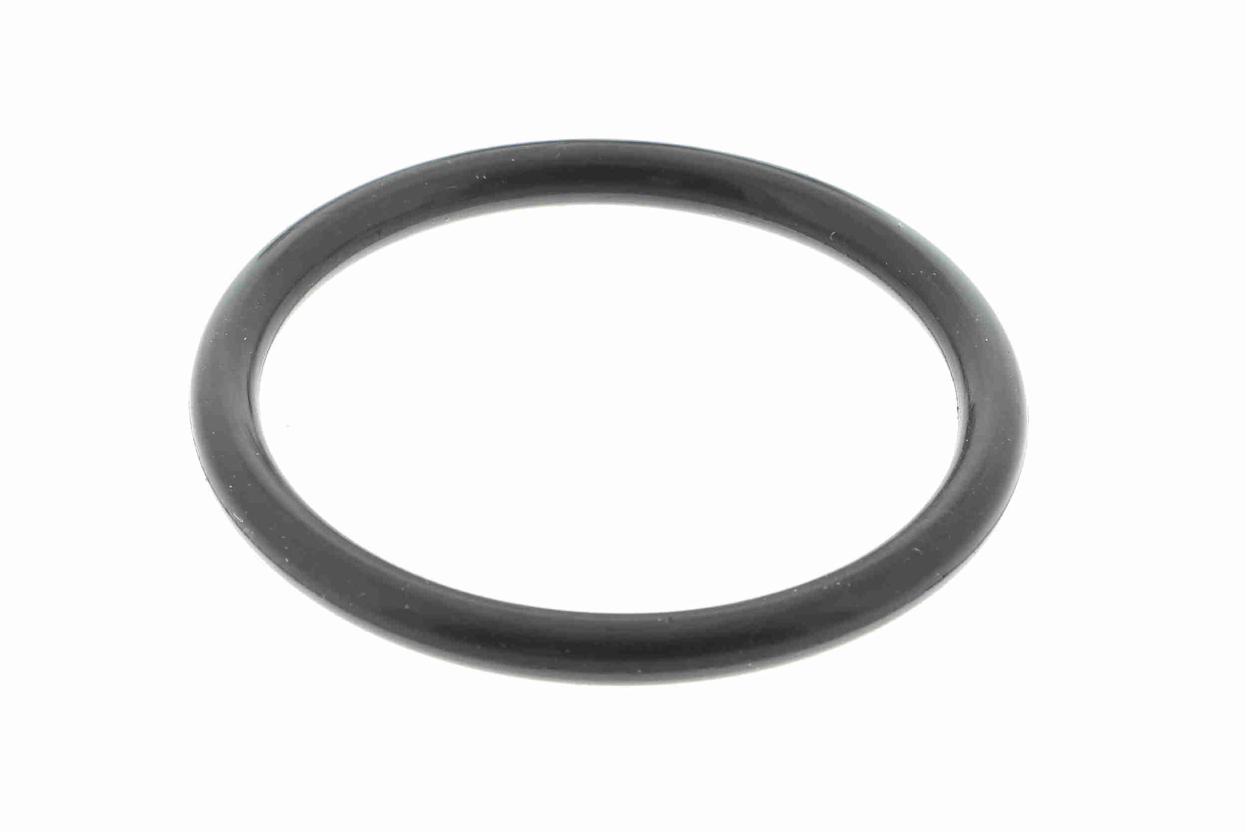 Carcasa termostat