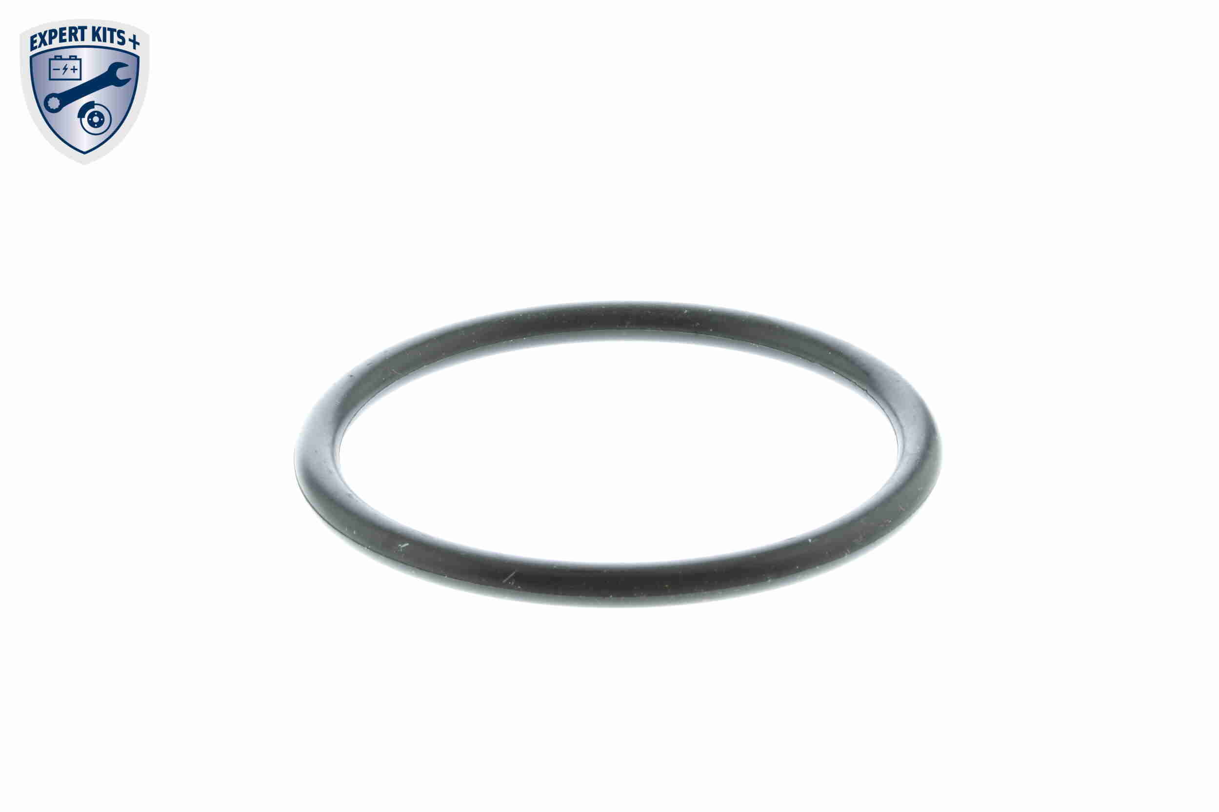 Termostat lichid racire