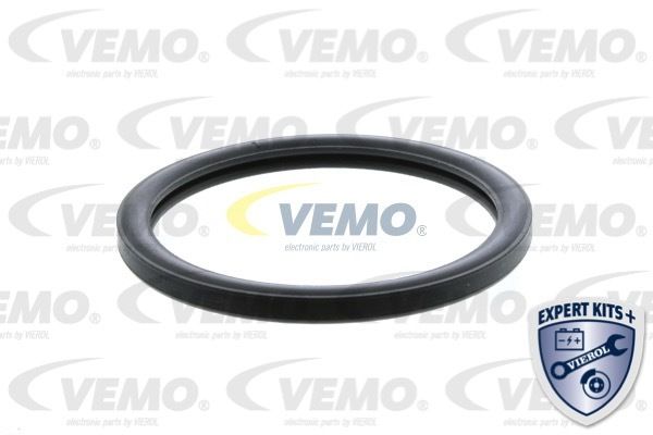 Termostat lichid racire