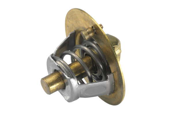 Termostat lichid racire