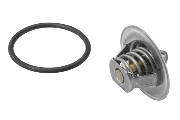 Termostat lichid racire