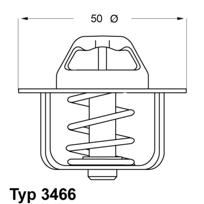 Termostat lichid racire